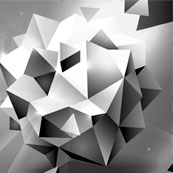 Portfolio Image 2