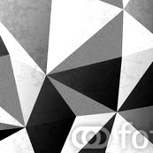 Portfolio Image 6